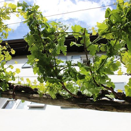 Weingut Pardellerhof Villa Марленго Екстериор снимка