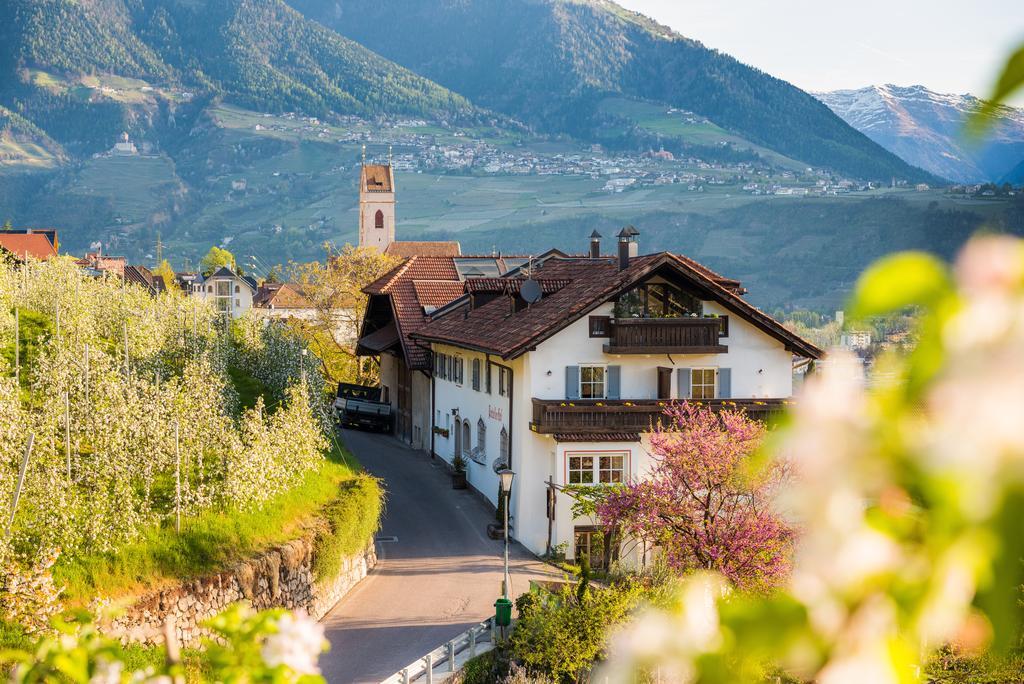 Weingut Pardellerhof Villa Марленго Екстериор снимка