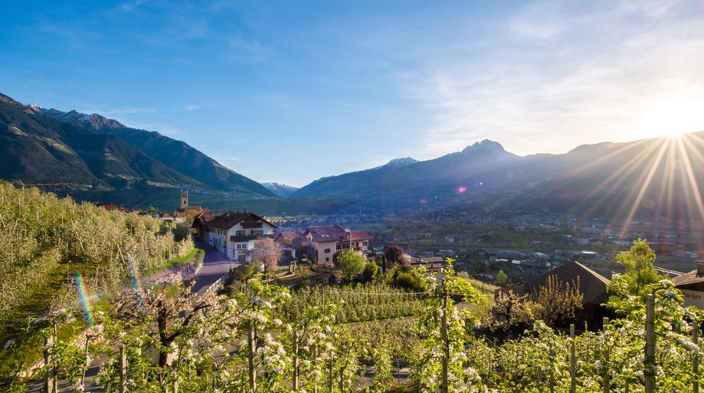 Weingut Pardellerhof Villa Марленго Екстериор снимка